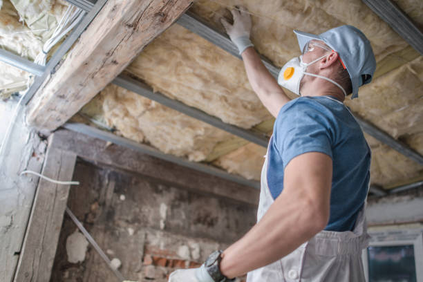 Best Specialty Insulation in Pendergrass, GA